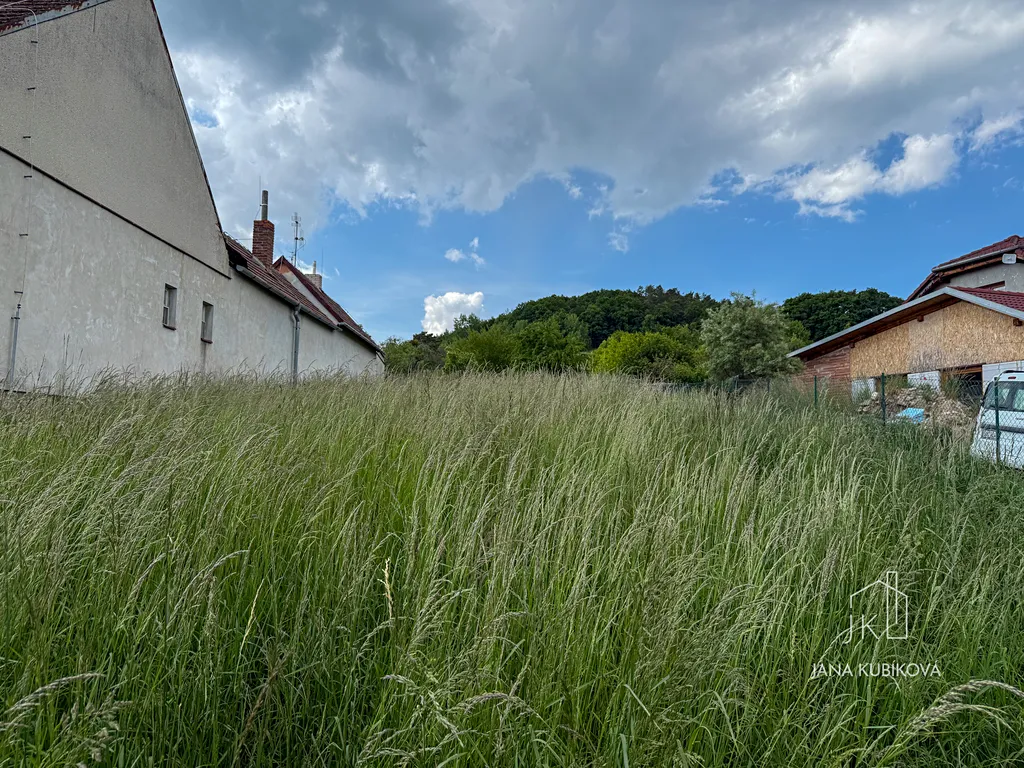 Fotka 10 z 18